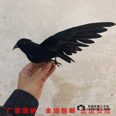 仿真模型万圣节影视教学道具乌鸦