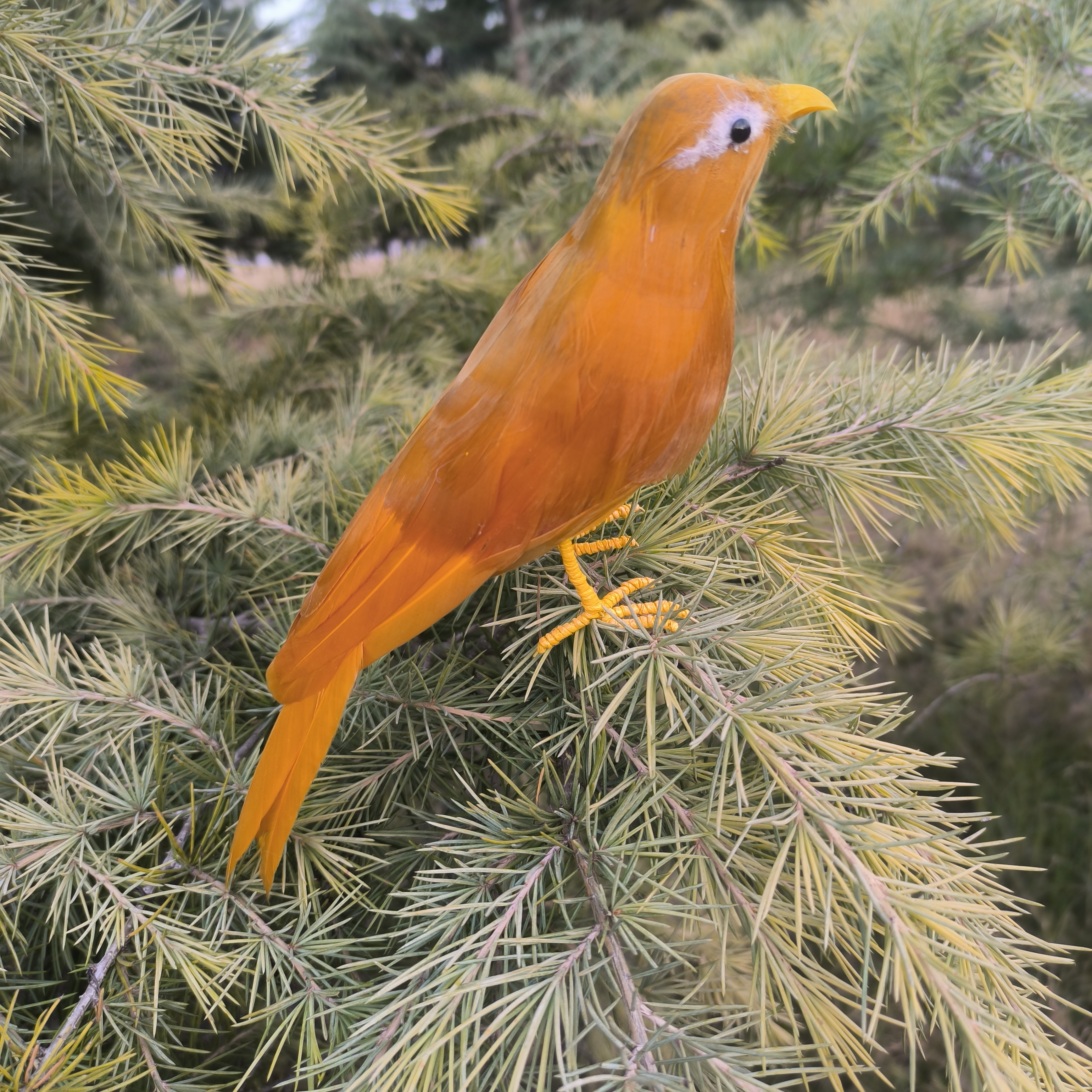 仿真羽毛画眉鸟假鸟动物模型摆件摄影道具园林摆设装饰品原创工艺