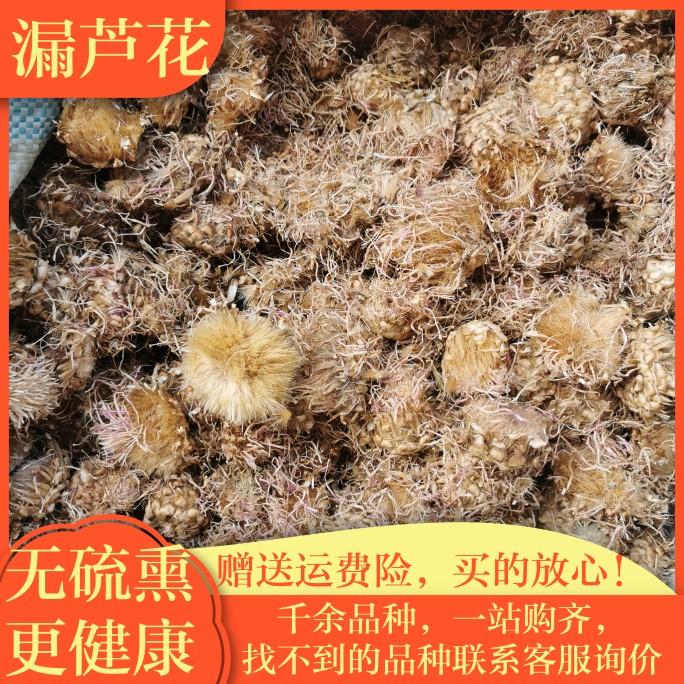 优质漏芦花干花中药材正品保证实物拍摄500克包邮漏芦干花