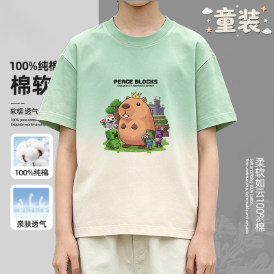 我的世界联名卡皮巴拉纯棉T恤