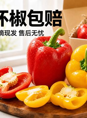 五彩灯笼甜椒新鲜蔬菜青椒辣椒