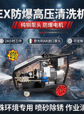 500公斤防爆高压清洗机进口AR泵