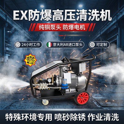 500公斤防爆高压清洗机进口AR泵