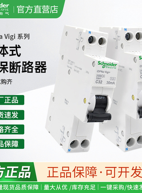 施耐德电气 A9D93610/16/20/25/32 iDPN Vigi+ 漏电断路器(18mm)