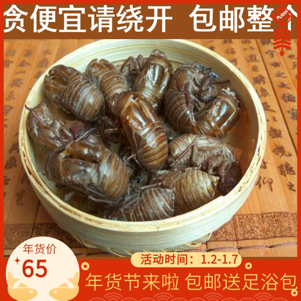 中药材蝉蜕蝉皮野生知了皮正品100克无泥蝉衣蝉壳 知了壳