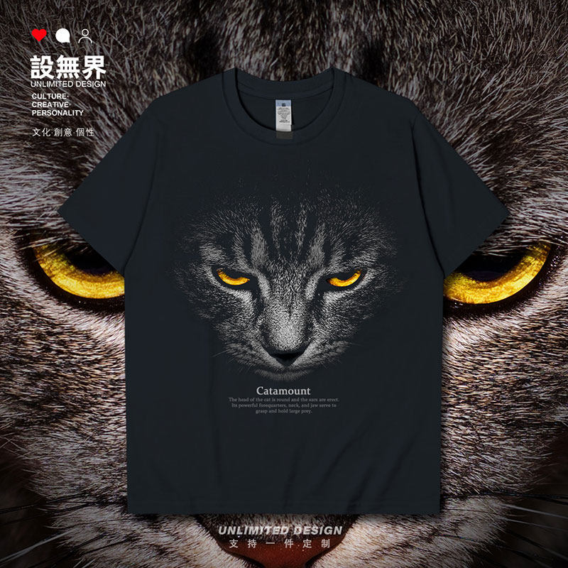 设无界动物高清3d猫咪高冷猫王夏