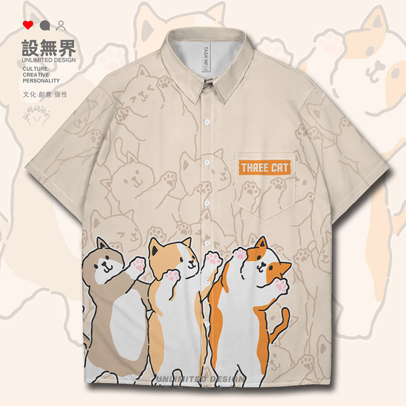 元气猫咪三只小猫可爱萌宠铲屎官