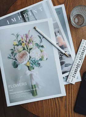 英文仿真摄影房间装饰品