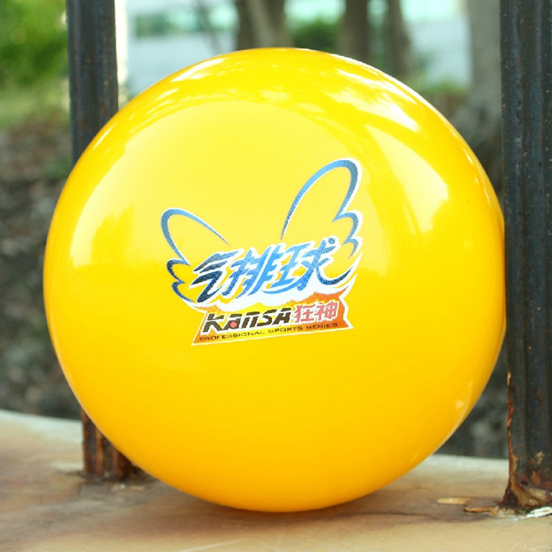 Ballon de volley-ball - Ref 2010529 Image 3