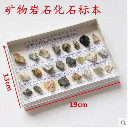 24种矿物岩石化石标本小学科学科普展示教学仪器长19cm宽13cm益智