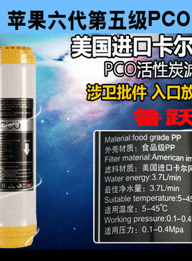 鲁跃滤芯苹果六代第五级十寸平口PCO专用后置碳进口卡尔岗冈碳炭