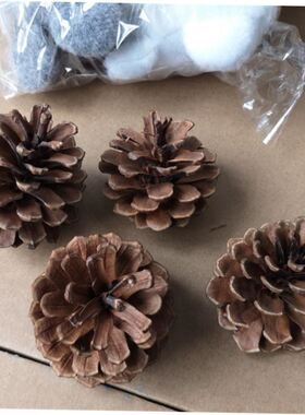 1-18CM pinecone Christmas decoration pendant Display pine