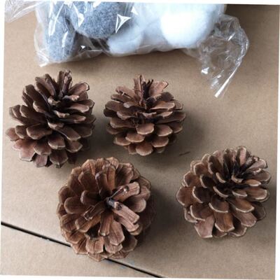 1-18CMpinecohristmadDl