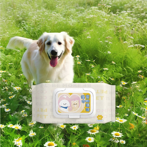 Portable Pet Wet Wipe Towel
