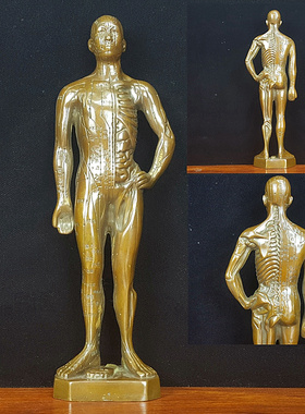 黄铜针灸铜仁铜像带骨骼经络人体穴位图中医药馆摆件诊所经络针灸