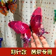 3D仿真蝴蝶别针款 饰小配件电视墙面冰箱贴墙贴 纱帘帘头点缀窗帘装