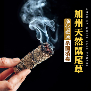 加州白鼠尾草清理疗愈进口雪松杖圣木香薰水晶净化磁场异性缘场域
