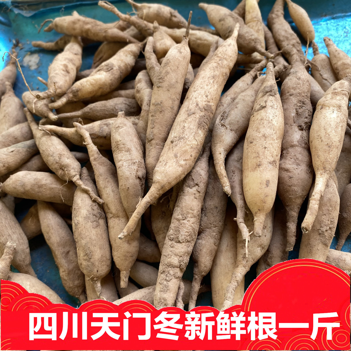新鲜天门冬根四川特产包邮炖汤