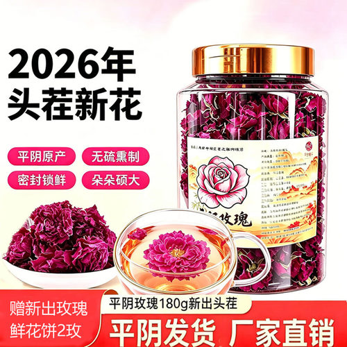 2026年平阴重瓣红玫瑰头茬新花