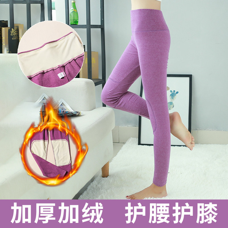 德绒秋裤女内穿护膝护腰加绒保暖裤紧身高腰加厚衬裤大码棉毛线裤