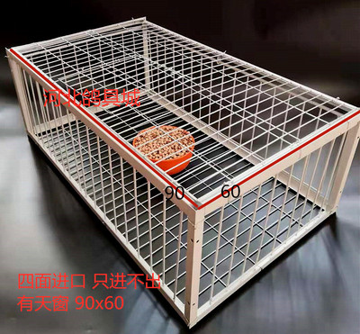 神器天落只进不出自动跳门鸽子笼