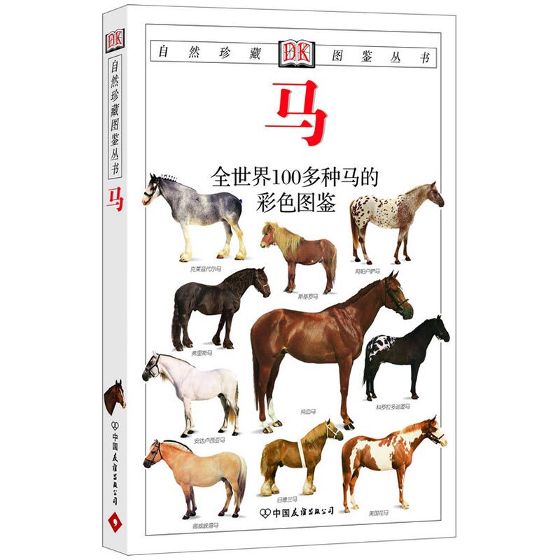 马匹知识科普,马匹基本护理知识,马术知识科普_大山谷图库