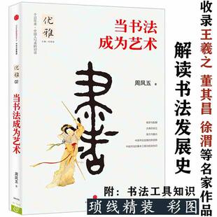 【正版】当书法成为艺术 写给大家的中国书法的理论与流变故事导论通论书法史美学史古代书论美学选读解读167个练习底线书籍
