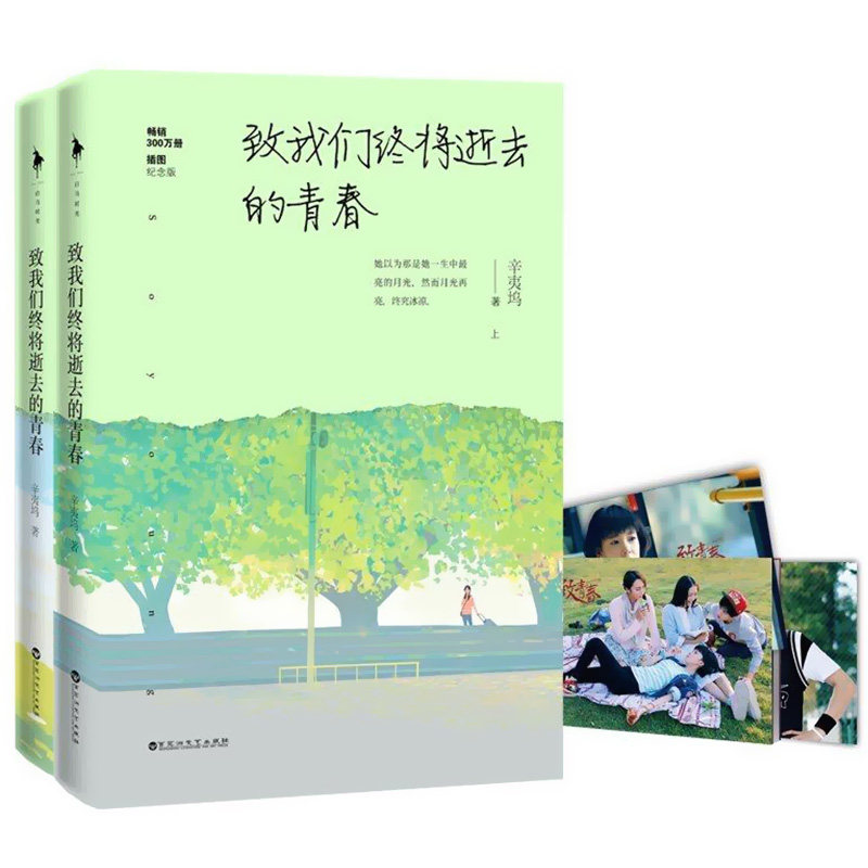 【包邮】辛夷坞:致我们终将逝去的青春//都市青春小说书籍我在回忆里