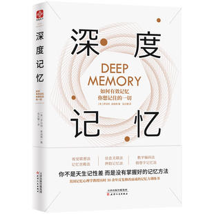 正版 有效记忆 深度记忆：如何有效记忆你想记住 美国记忆心理学家罗伯特·麦迪根 法则书籍 一切