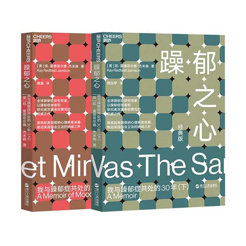 湛庐文化正版 畅销书 躁郁症