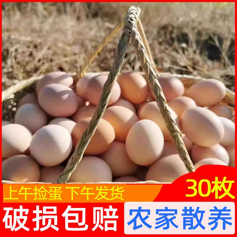 江西特产农家散养土鸡蛋