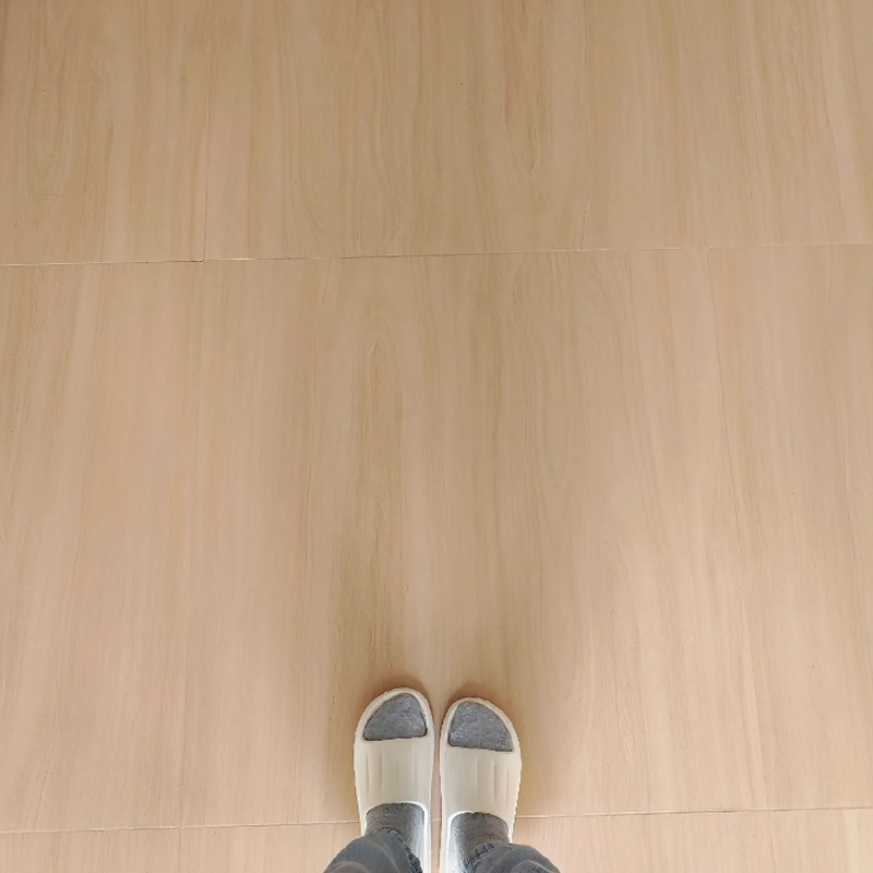 名优瓷砖全瓷白胚双零吸可寄样品