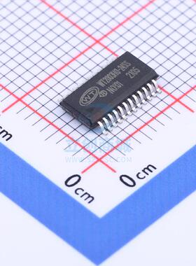 音频接口芯片 WT2003H0-24SS SSOP-24 WT(唯创知音)