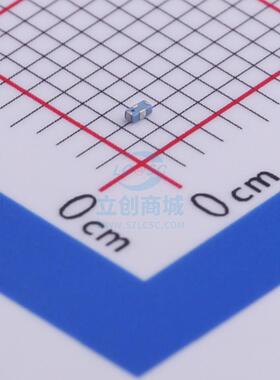 RF滤波器 RFLPF1005040A0T SMD,1x0.5mm Walsin(华新科)