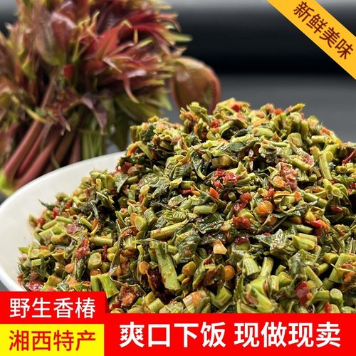 野生香椿新鲜开胃春天菜