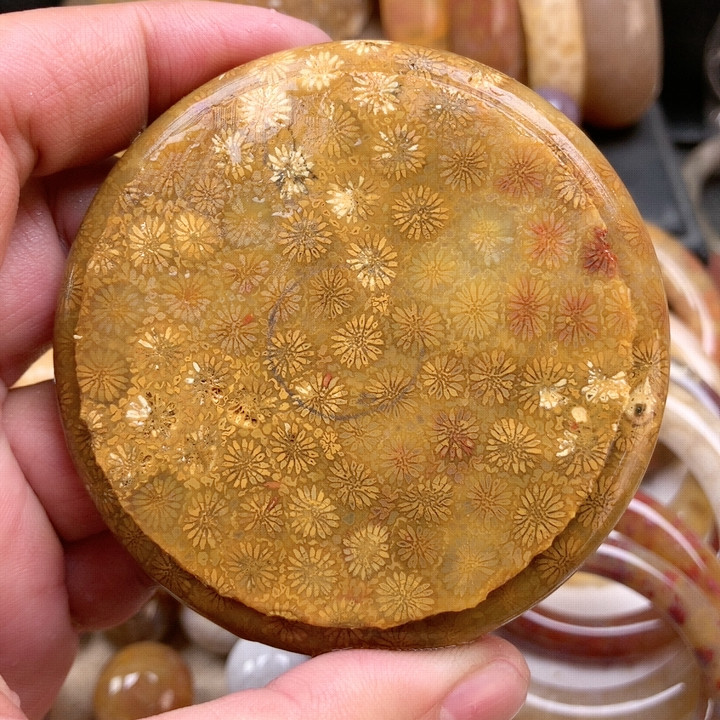 毛货、镯板皮花56圆条,饰品/流行首饰/时尚饰品新,项坠/吊坠,淘宝优惠券,粉丝福利购,淘宝优惠卷