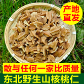 东北野生山核桃仁核桃仁小山核桃仁新货生核桃仁原味新核桃仁500g