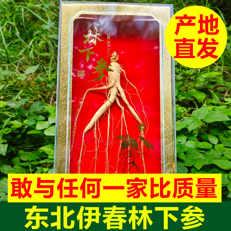 东北林下参林下参礼盒正宗山参老山参泡酒整枝人参干参中药材人参