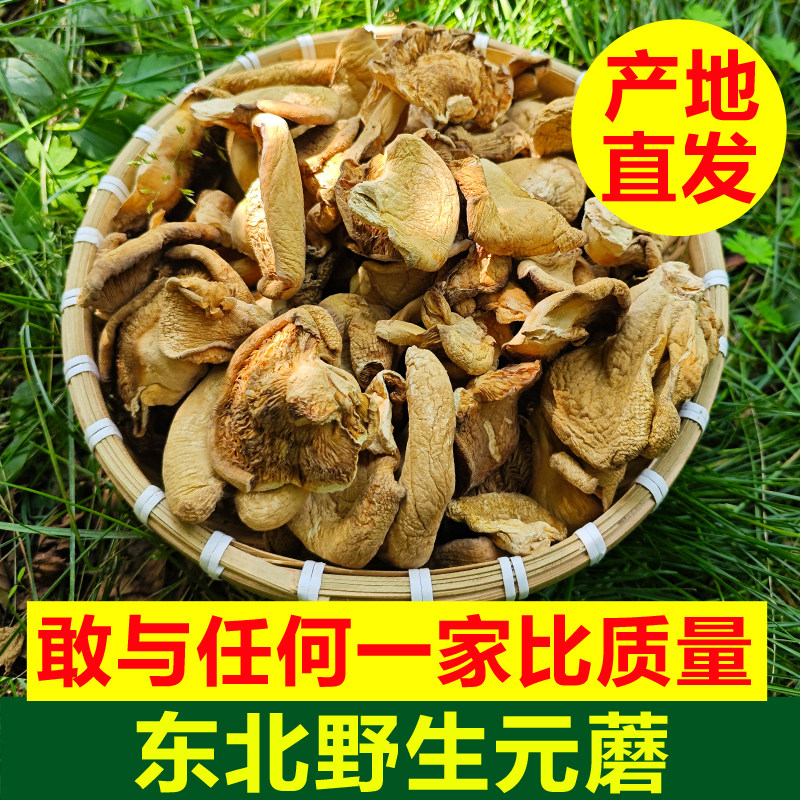 东北野生元蘑干黑龙江伊春干货东北冻蘑野生菌菇野生蘑菇野生干货