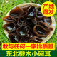 东北木耳干货东北特产木耳椴树椴木小碗耳老鼠耳小黑木耳农家小朵