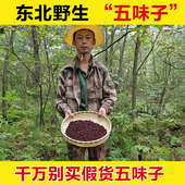 东北野生五味子中药材正品 北五味子泡水喝中药药用正宗干货250g