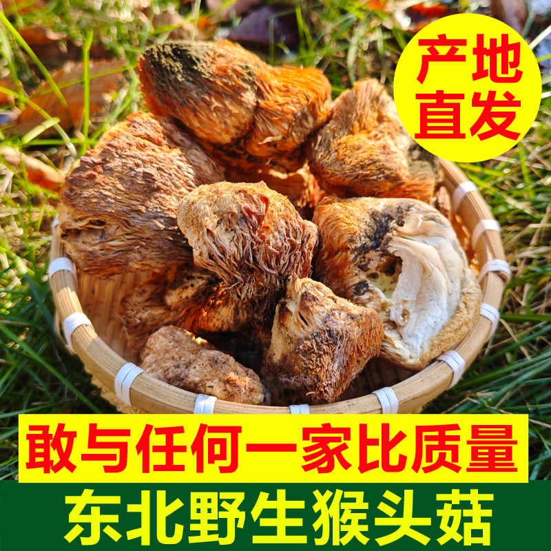 东北黑龙江伊春野生猴头菇新货菌菇干货野生菌菇野生蘑菇野生干货