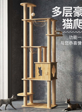 猫爬架猫窝猫树一体猫抓板通天柱实木跳台太空舱猫窝猫咪用品大全