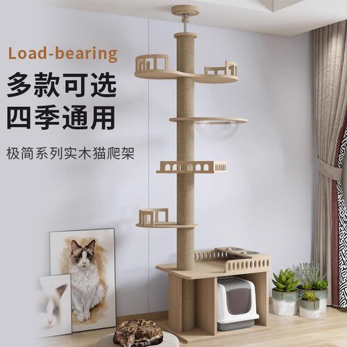 顶天立地通天柱猫爬架猫窝一体四季通用小户型不占地家用猫咪玩具