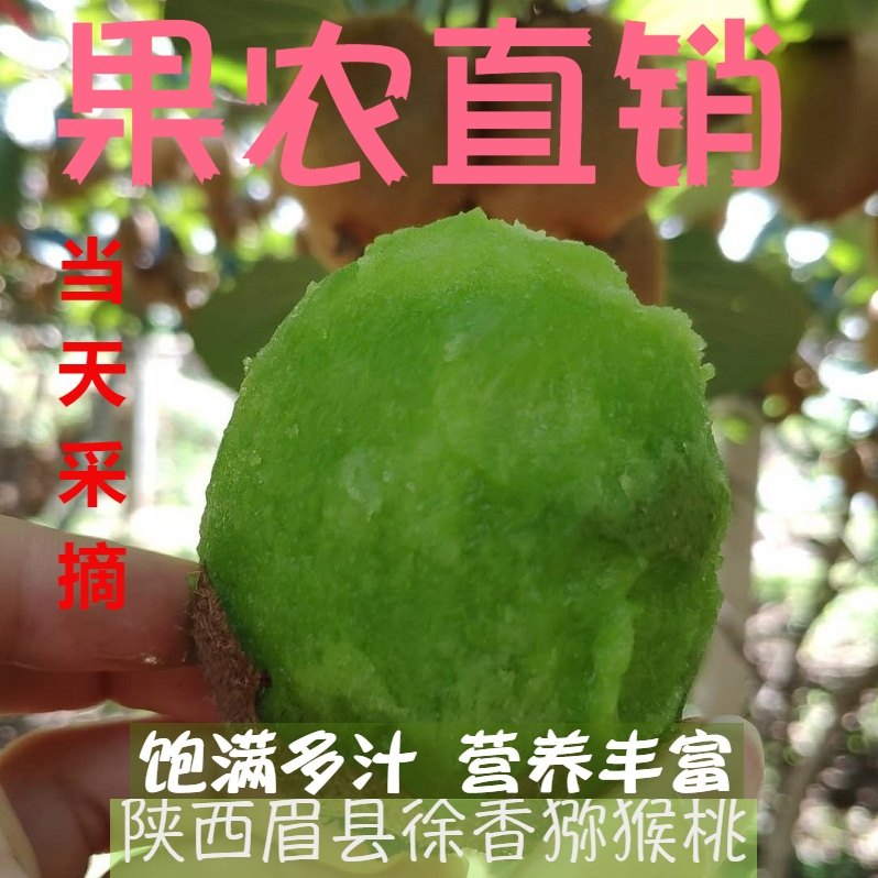 中大果陕西徐香猕猴桃现摘当季