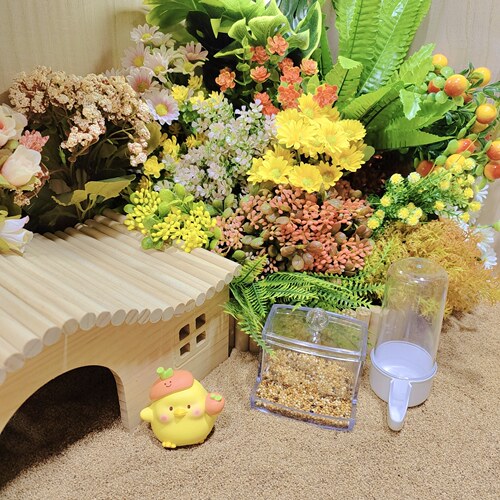 保温箱造景植物芦丁鸡造景用品