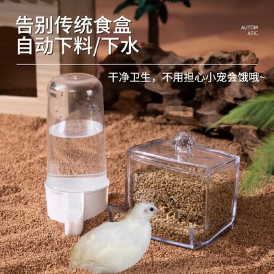育雏水壶喂食器喂水器喂食器食盒