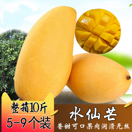 水仙新鲜整箱广西大芒果包邮
