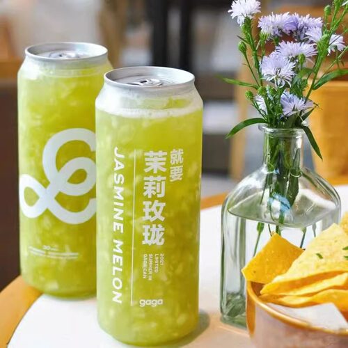 易拉罐空罐子500ml气泡水果汁瓶