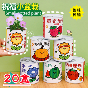 创意种植盆栽幼儿园礼物小礼品全班生日伴手礼儿童小学生奖励奖品